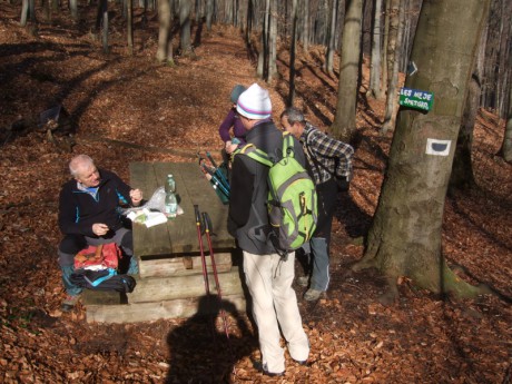 201903004 Studnička